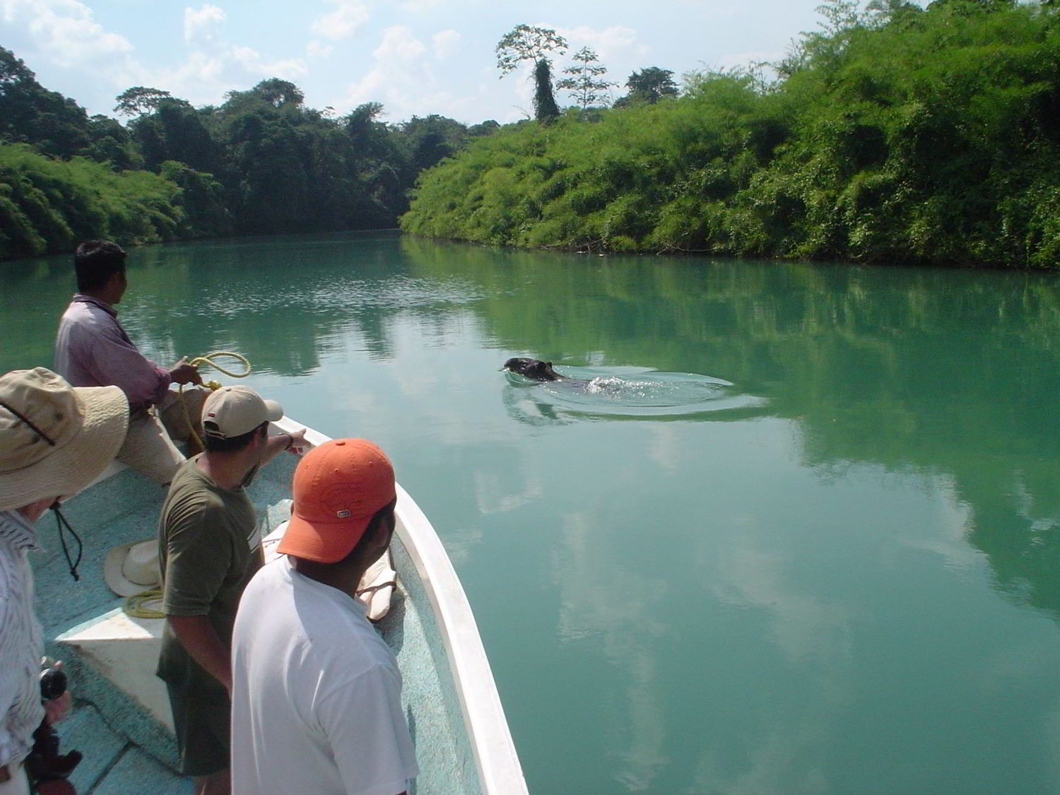 TOUR GUACAMAYAS Y LAS NUBES 2 DIAS