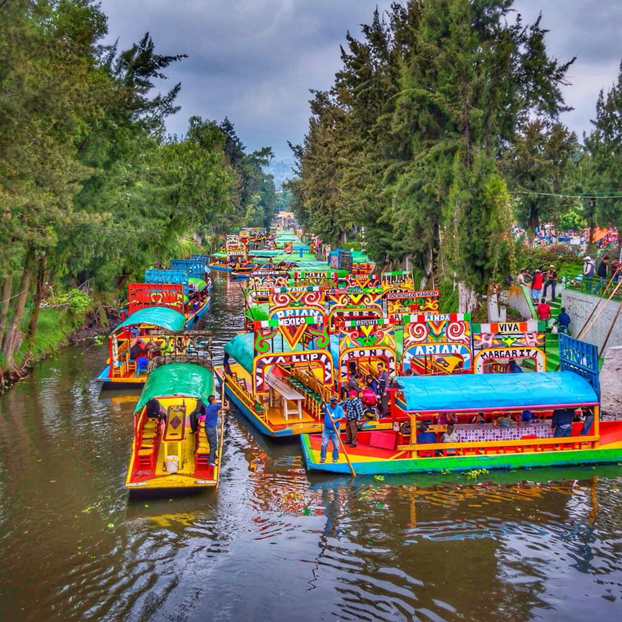 XOCHIMILCO COYOACAN Y CIUDAD UNIVERSITARIA. Tour de recreacion cultural.