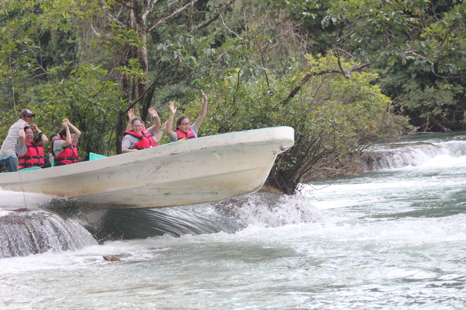 GUACAMAYAS Y LAS NUBES. ¡Viaje para sentir la naturaleza!
