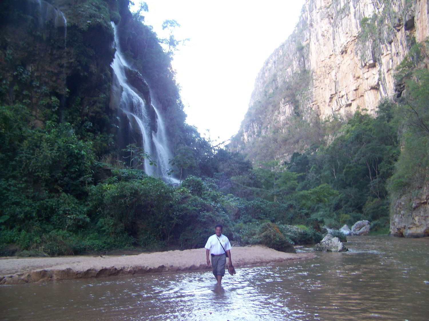 SELVA DEL OCOTE Y LA ENCRUCIJADA. ¡Conozca el corazon de la naturaleza!