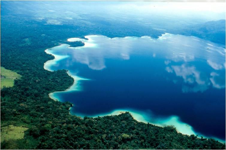 AVENTURA SELVATICA, Conozca la ruta del agua y selva