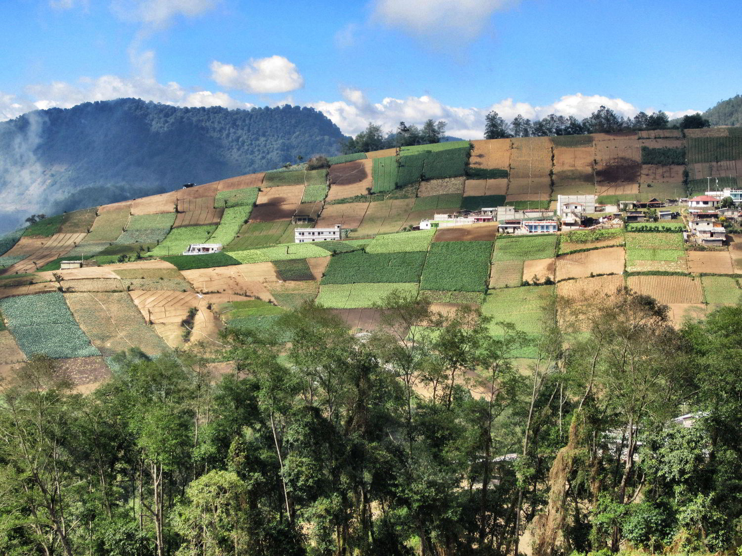 GUATEMALA Y CHIAPAS. El viaje inolvidable a tierras Mayas