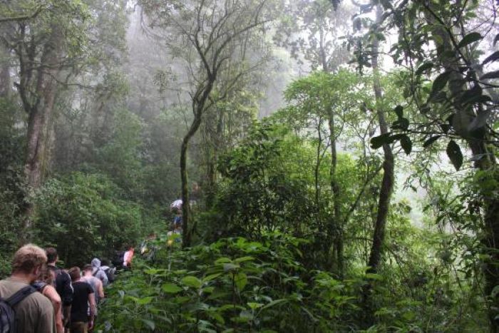 RESERVA DE HUITEPEC: ¡Observación de aves!