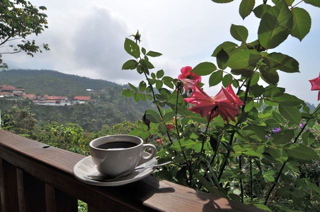 LA RUTA DEL CAFE 5 DIAS. ¡Viaje al corazón del Soconusco!